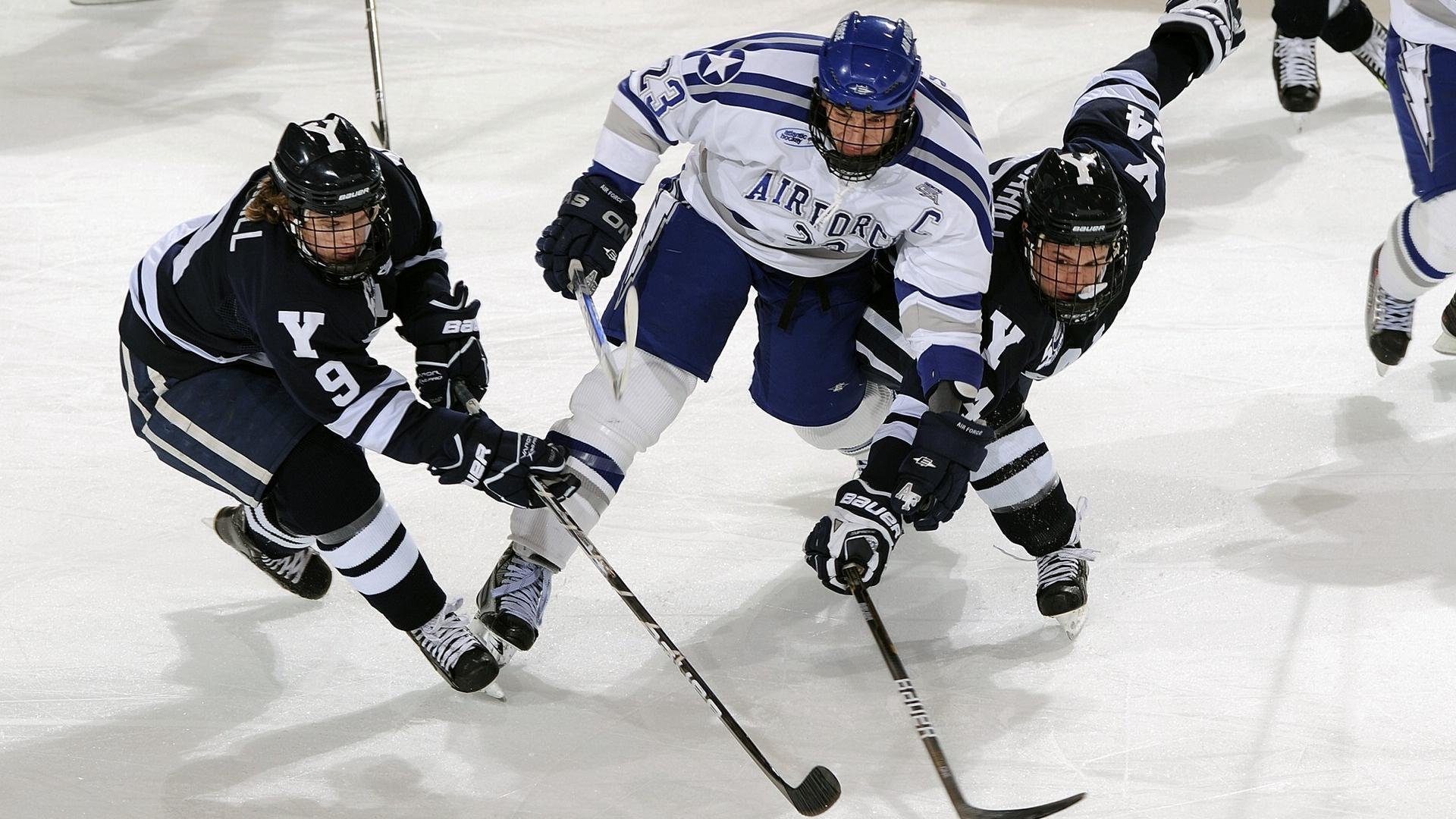 中国篮球文化日益深入人心，中国的篮球文化现状